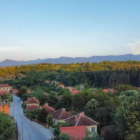 бялата къща в слатина Holiday home Slatina