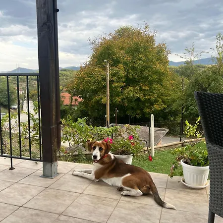 Tatil Evi бялата къща в слатина Slatina