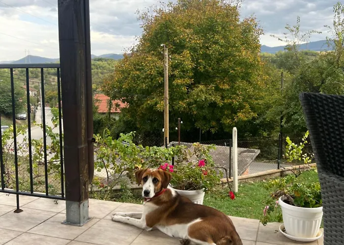 Casa vacanze бялата къща в слатина Slatina